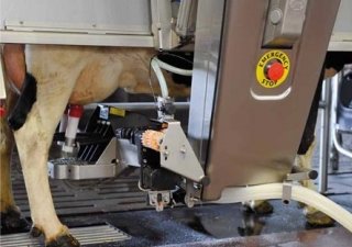 Роботизированные фермы - будущее Калужской области
