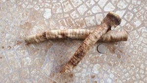 Корень хрена свежий