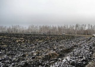 В Северной Осетии собирают «морозный» урожай