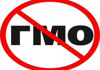 Как воспрепятствовать ввозу продукции с ГМО?