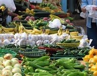 В калужском Обнинске открыли фермерский рынок