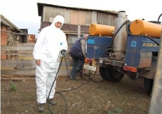 В Белоруссии опасаются прихода АЧС