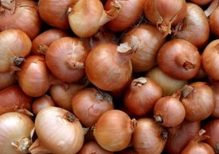 В Хабаровском крае розничные тарифы на овощи уменьшились на 1%