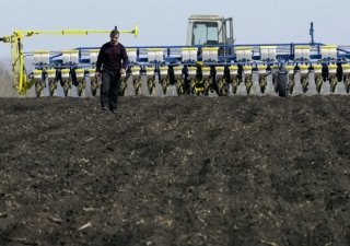 Челябинская область в 2014 году направит на поддержку аграриев почти 490 млн рублей