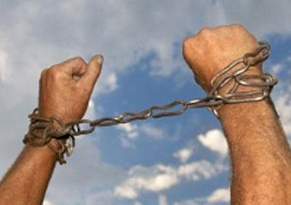 На ферме в Курганской области 6 лет использовался рабский труд