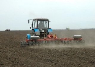 Ростовская область в 2013 г. удвоила площади застрахованных яровых культуры