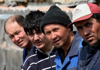 В мигрантах нет нужды