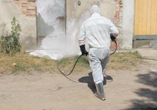 Шансов на отмену карантинных зон АЧС в Польше пока нет