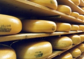 Производство сыров и сырных продуктов в России выросло на 31,1% - Минсельхоз
