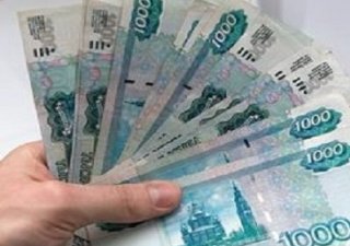 Новосибирским сельхозпроизводителям вернут долги по субсидиям