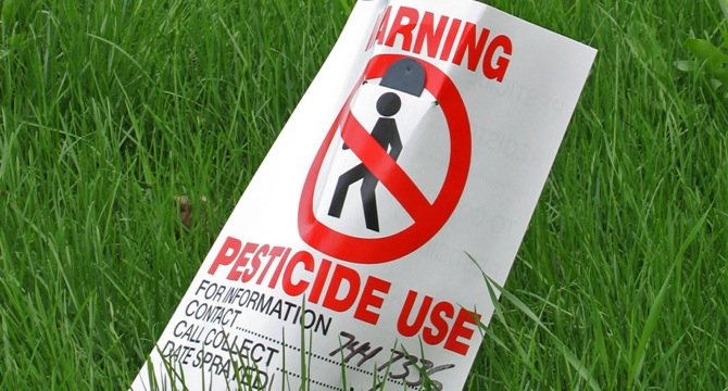 Пестициды в современном мире