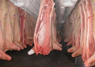 Цеха по переработке молока и мяса появятся в 5-ти районах Забайкальского края