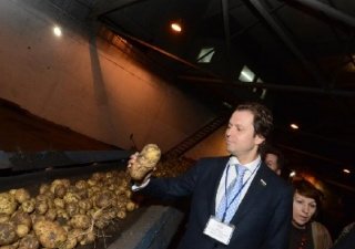 Тюменские картофелеводы намерены поставлять продукцию производителям чипсов
