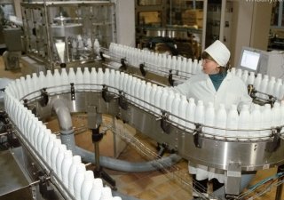 Ассоциация с ЕС будет стимулировать развитие молочной отрасли в Украине — эксперты