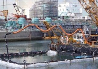 Роспотребнадзор проконтролирует дальневосточную рыбу
