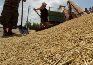 Минсельхоз: В России на 2 августа намолочено 37,6 млн т зерна