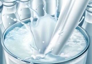 Индийская молочная компания Amul выходит на российский рынок