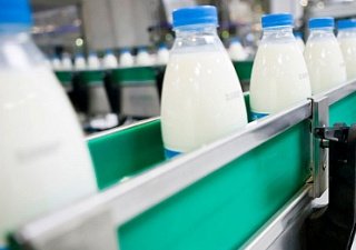 В Республике Коми запустили новый молочный цех