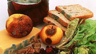 Микотоксины-скрытая угроза