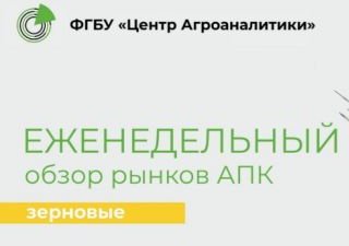 Еженедельный обзор рынка зерновых