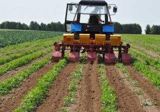 Животноводам компенсируют 30% от расходов на оборудование