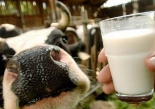 Цены на молоко в России выросли на 25%