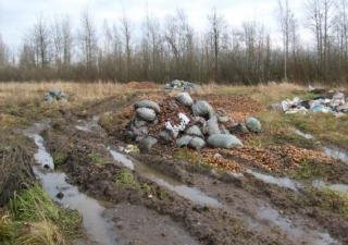 Выявлена несанкционированная свалка в Новгородском районе