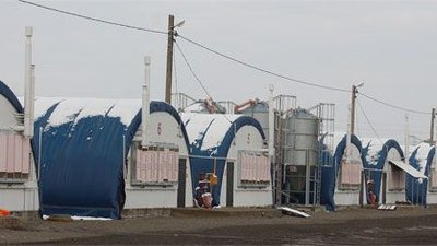 Брюховецкий производитель мяса утки и кролика наладил производство разделки из утки