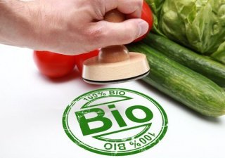 Принят Национальный стандарт на органическую сельхозпродукцию в России