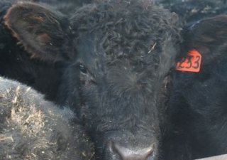 В Самарской области задействуют резервы
