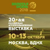 Юбилейная выставка «Золотая осень» пройдет на ВДНХ с 10 по 13 октября