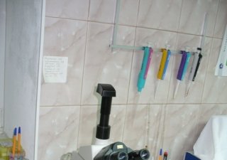 В Саратовской области появилась мобильная ветеринарная лаборатория