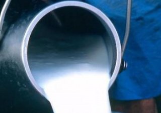 Россельхознадзор усилил контроль за продукцией «Милкиленд» и «Молочный альянс»