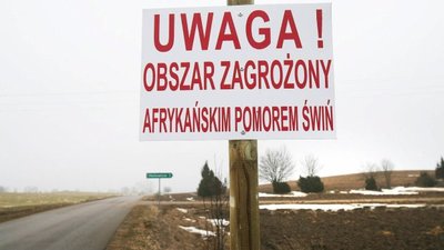АЧС: Европейская комиссия расширит ограничения в отношении Польши
