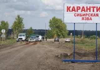 В Волгоградской области сняли карантин по сибирской язве