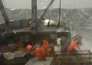 Пресечена очередная попытка незаконной ловли краба