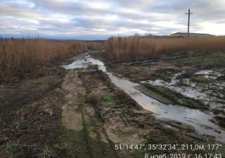 В Курской области 5 животноводческих ферм уличены в ветнарушениях