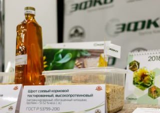 ГК «ЭФКО»: ЦФО имеет значительный потенциал для выращивания и переработки качественной сои