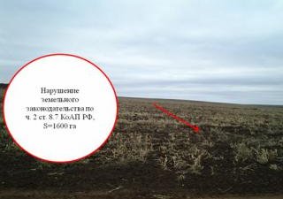 Плановое выездное контрольно-надзорное мероприятие в отношении КФХ «Радуга»