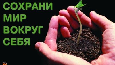 Сохрани мир вокруг себя