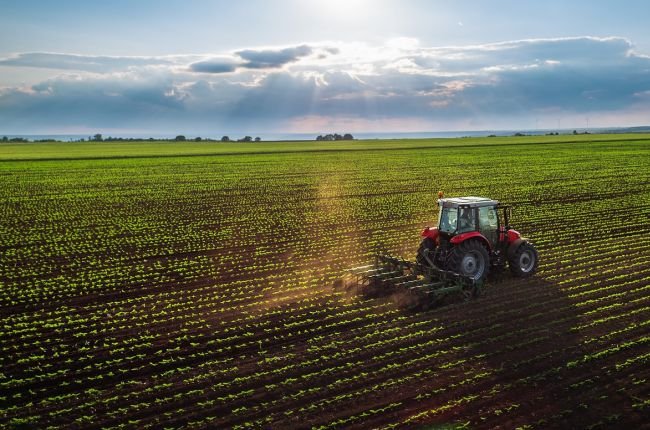 Россельхозбанк на четверть увеличил кредитование аграрного сектора Новосибирской области