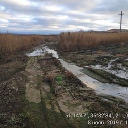 Россельхознадзор выявил нарушения на 4 фермах в Курской области