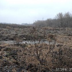 В 6 районах Курской области в животноводческих хозяйствах выявлены ветеринарные и земельные нарушения
