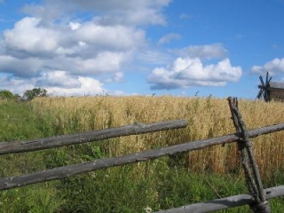 Село выделив. Лариска с деревни культяпкино.