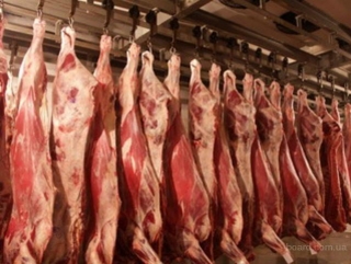 Курская область удвоила производство мяса