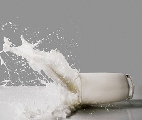Ветслужбы Таможенного союза могут до конца 2013 года проверить литовские молочные предприятия