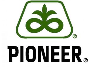 Семена подсолнечника Пионер ПР64Х32 (Pioneer PR64X32)