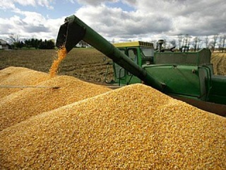 Россия может начать поставки зерна в Бразилию и увеличить - в Египет