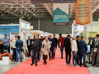 Выставка «ФермаЭкспо Краснодар»: оборудование и материалы для развития животноводства и птицеводства на Юге России