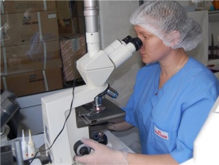 В сахалинском городе Анива будет работать передвижная ветеринарная лаборатория
